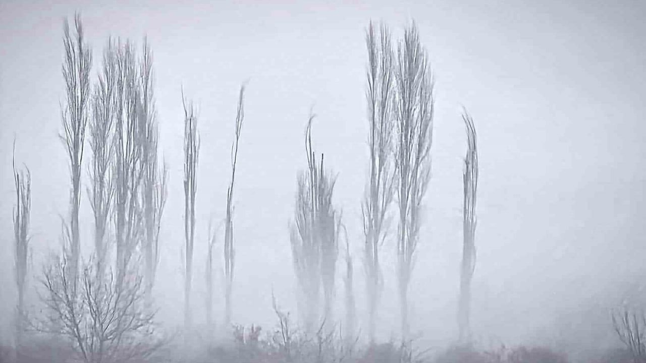 Karabağlar Yaylası'nda Kartpostallık Sis Manzarası