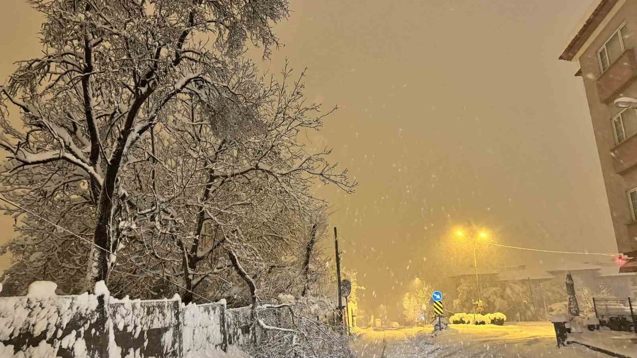 Karabük'te karın ağırlığı ağaç dallarını kırdı, ekipler müdahale etti