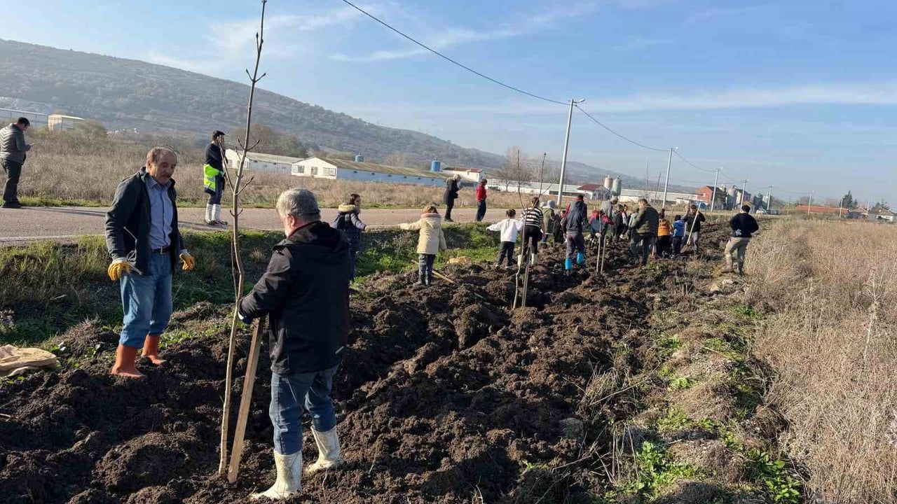 Karaçalılık’ta 350 atkestanesi fidanı toprakla buluştu