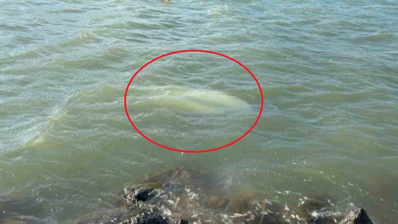 Karadeniz'de fırtına: Samsun'da 3 tekne battı