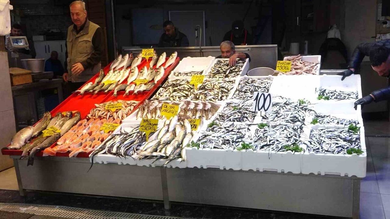 Karadeniz'de hamsi bereketi sürüyor