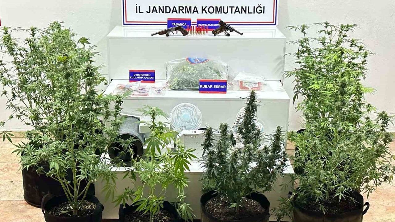 Karaman'da jandarma uygulamasında yaban keçisi avına 954 bin 208 lira ceza