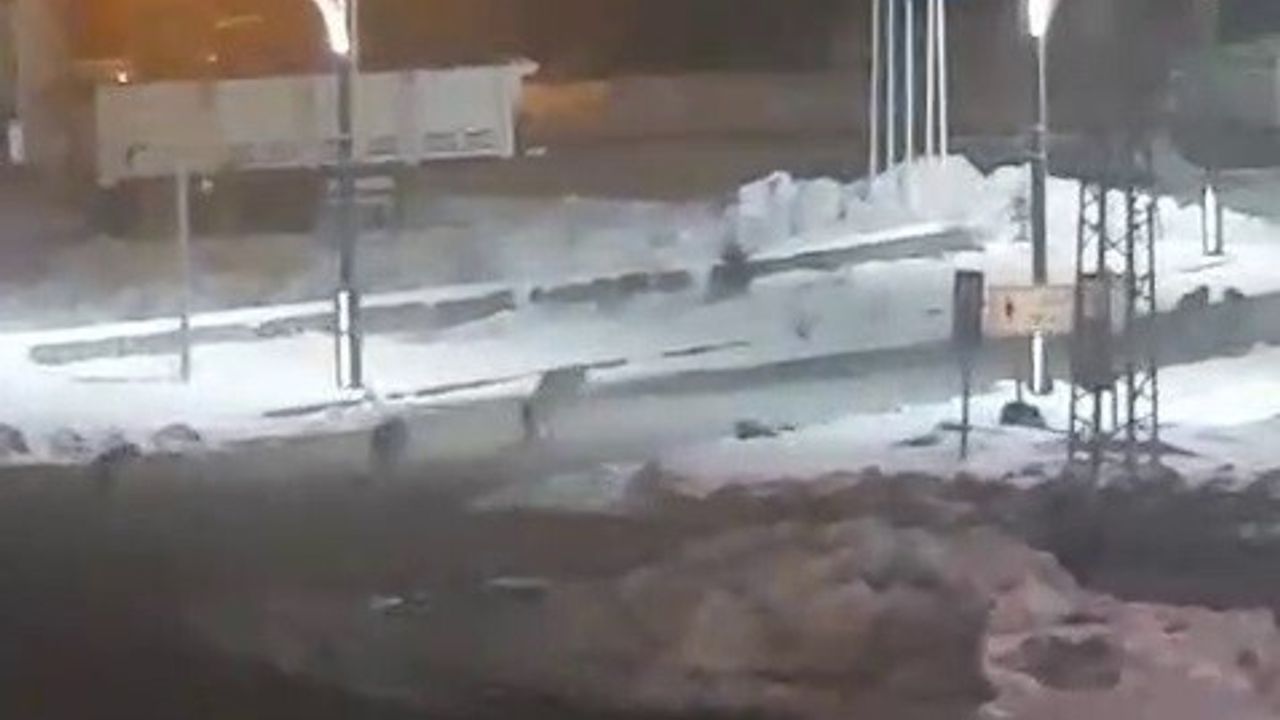 Karayazı'da Kurt Alarmı: Sürü Halinde Mahallelere İndi