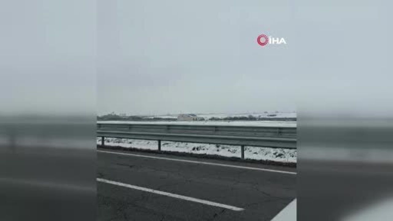 Kars'ta 6 kurttan oluşan sürü şehir merkezine indi