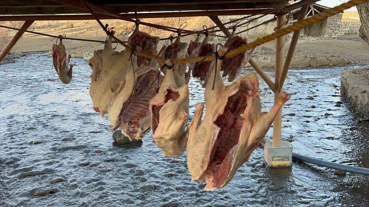 Kars’ta kazlar geleneksel yöntemle kurutularak kış sofralarına hazırlanıyor