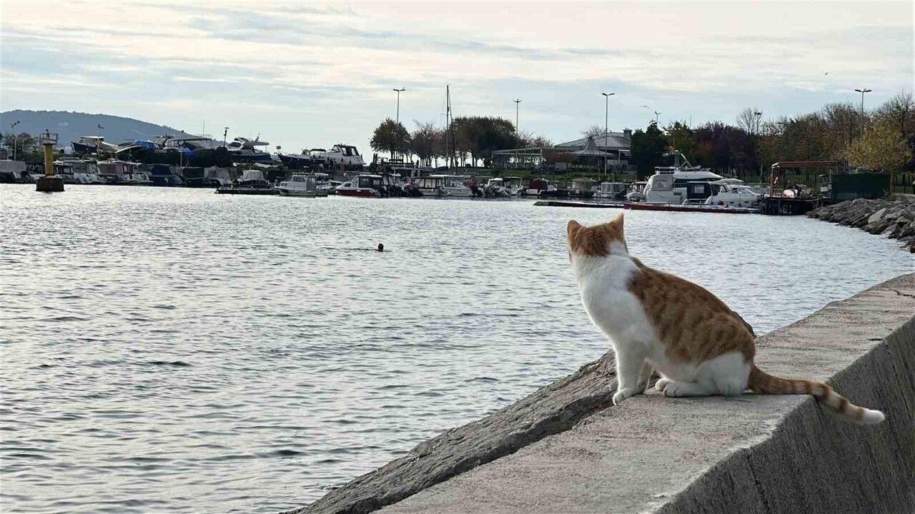 Kartal'da soğuğa rağmen deniz keyfi: İki arkadaş Dragos'ta yüzdü