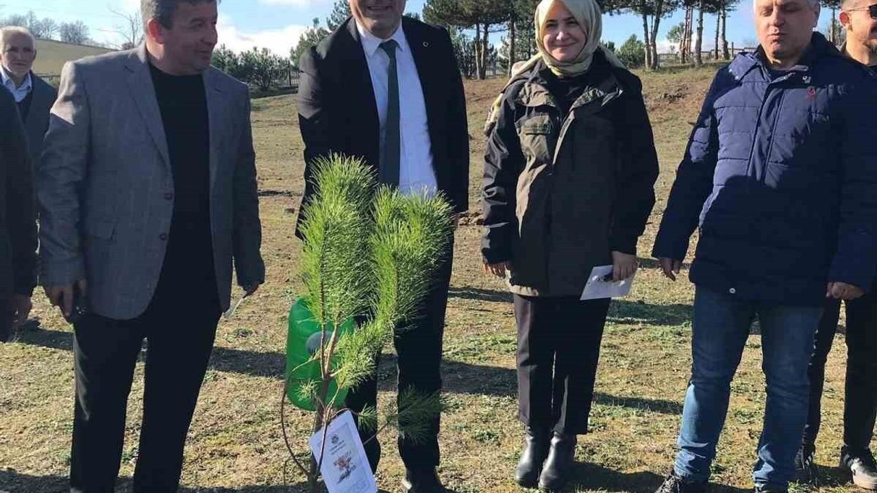 Kavak'ta 'Bir İnsan Bir Fidan' ile okul bahçeleri yeşerdi