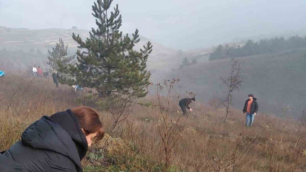 KBÜ öğrencileri 500 çam fidanını toprakla buluşturdu