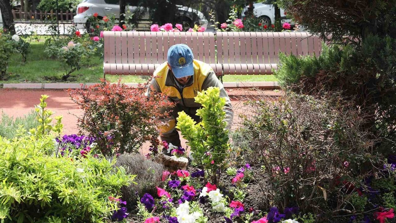 Keçiören’in serasından parklara sürdürülebilir yeşil dönüşüm