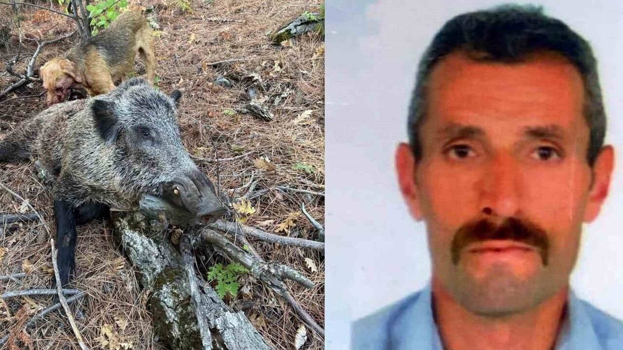 Kemah'ta domuz saldırısı sonucu avcı yaşamını yitirdi