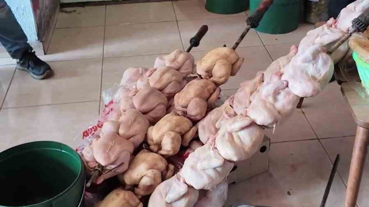 Kırıkhan'da hijyen skandalı: Dönerci mühürlendi