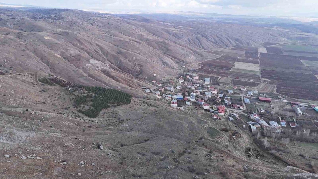 Kırsaldan Ormana: Çukurbelen'de 5 Fidandan 3 Bine Uzanan Dönüşüm
