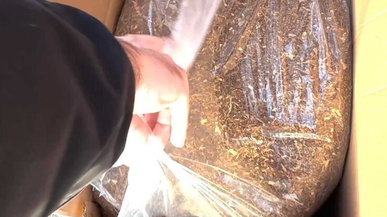 Kırşehir'de 3,5 ton kaçak tütün ele geçirildi