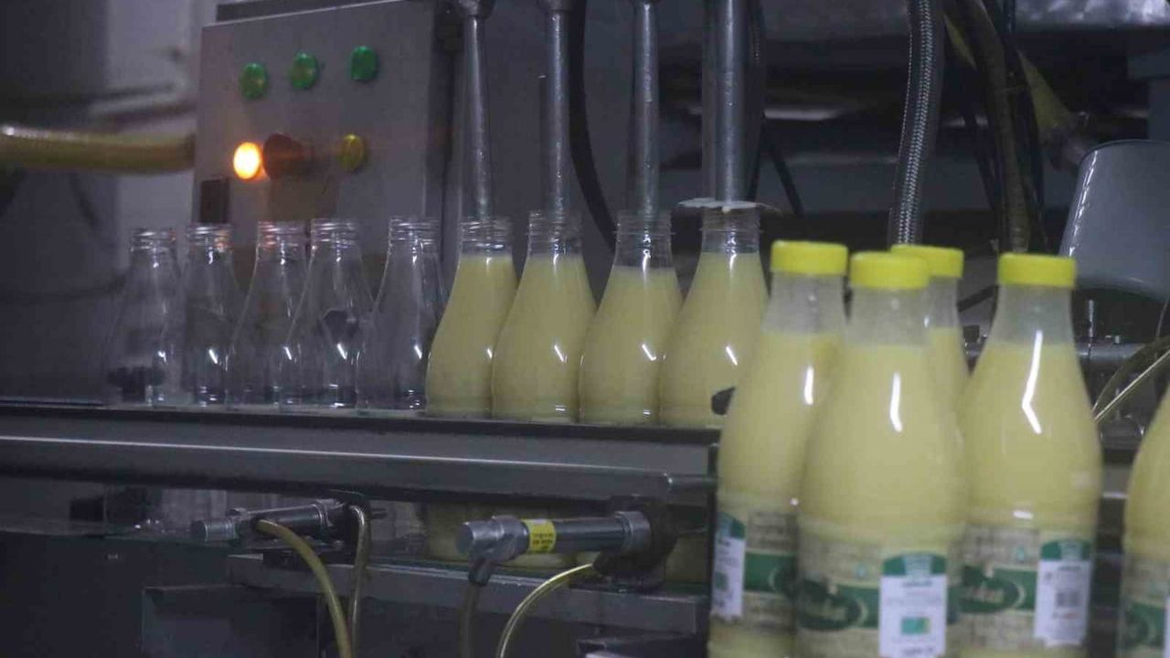 Kışın şifa kaynağı boza Sakarya'da üretime başladı