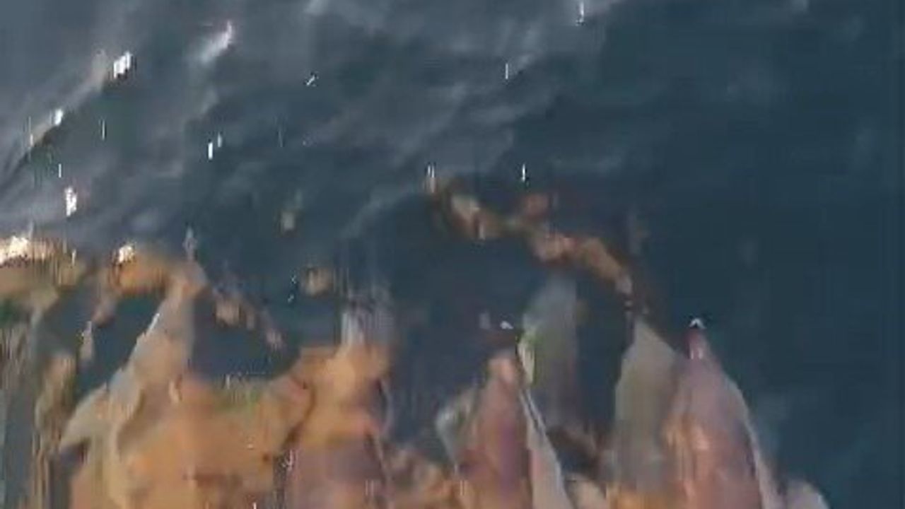 Kıyıköy açıklarında yunusların tekneyle eşlik ettiği kartpostallık anlar