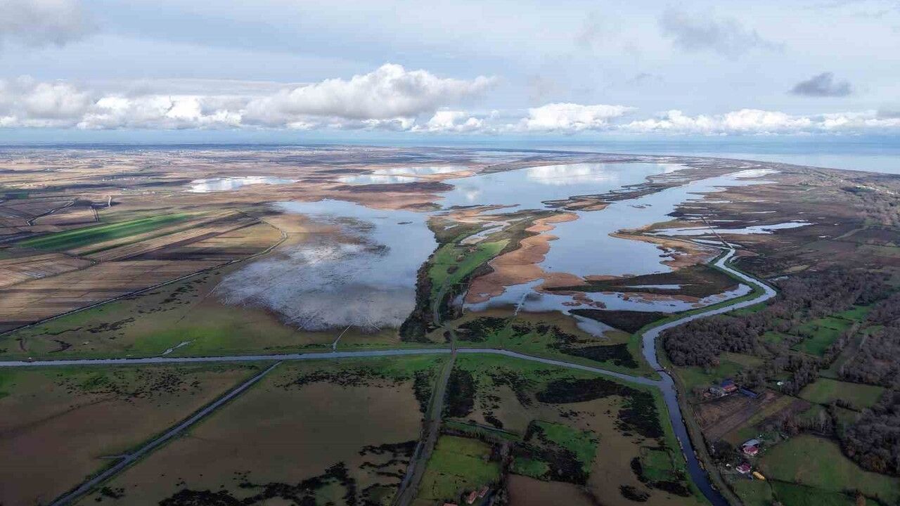 Kızılırmak Deltası'nda yer altı suları beslenemiyor: Su seviyeleri düşüyor