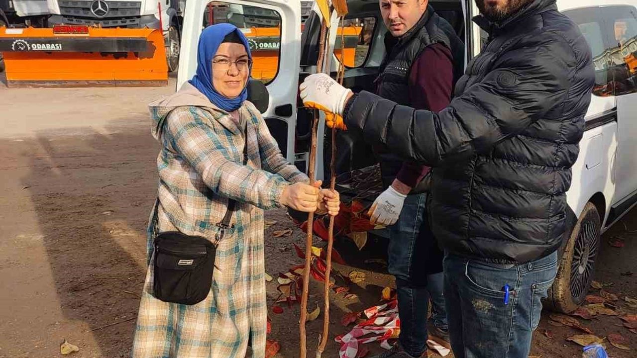 Kocaeli'de 75 üreticiye yüzde 50 hibeli 3 bin 600 Trabzon hurması fidanı dağıtılacak