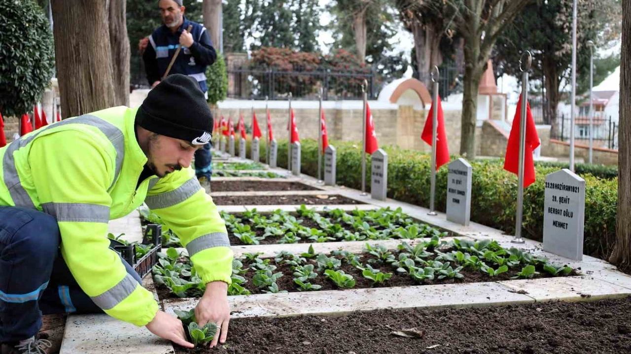 Kocaeli'de şehitliklerde kapsamlı bakım ve çiçeklendirme