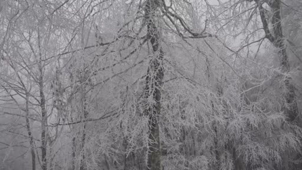 Kocaeli’de yoğun kar yağışı: Kartepe’de 10 cm, sıcaklık -6°C