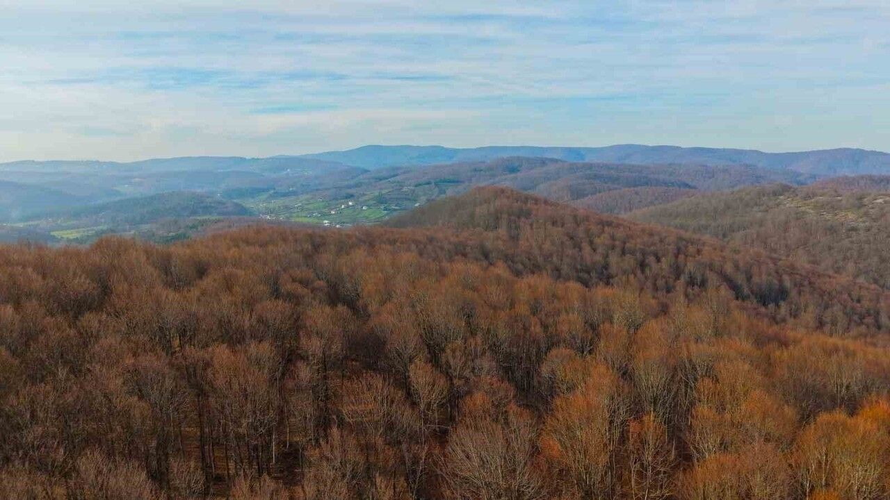 Kocaeli'nin Bilinmeyen Yüzü: Ormanlarda Hafta Sonu Kaçamağı