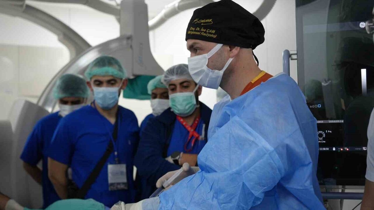 Kocaeli Üniversitesi'nde 'iğne ile yakma' (termal ablasyon) yöntemi uluslararası ilgi gördü