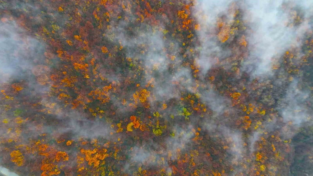 Kocaeli yükseklerinde Aralık sisleri ve renk cümbüşü