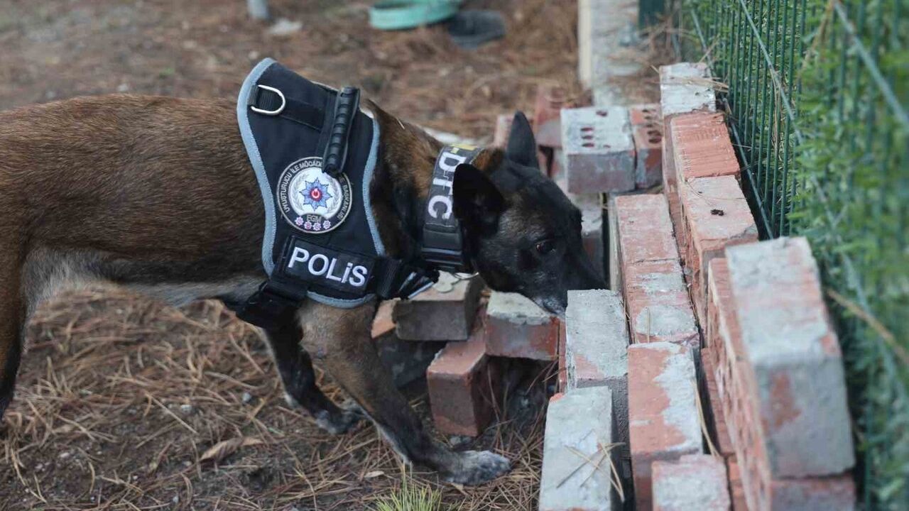 Konya'nın 'hassas burunlu' narkotik köpekleri zor zulaları ortaya çıkarıyor