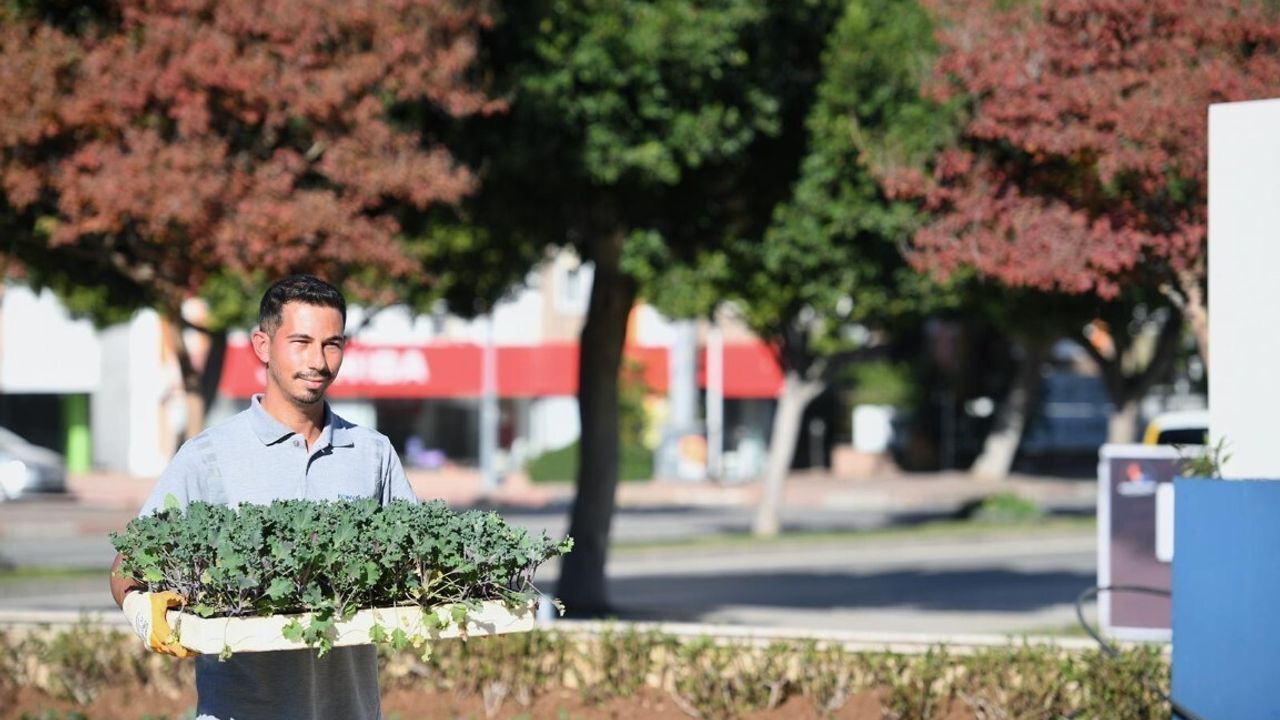 Konyaaltı'nda fidanlık üretimiyle mevsimlik çiçek dikimi