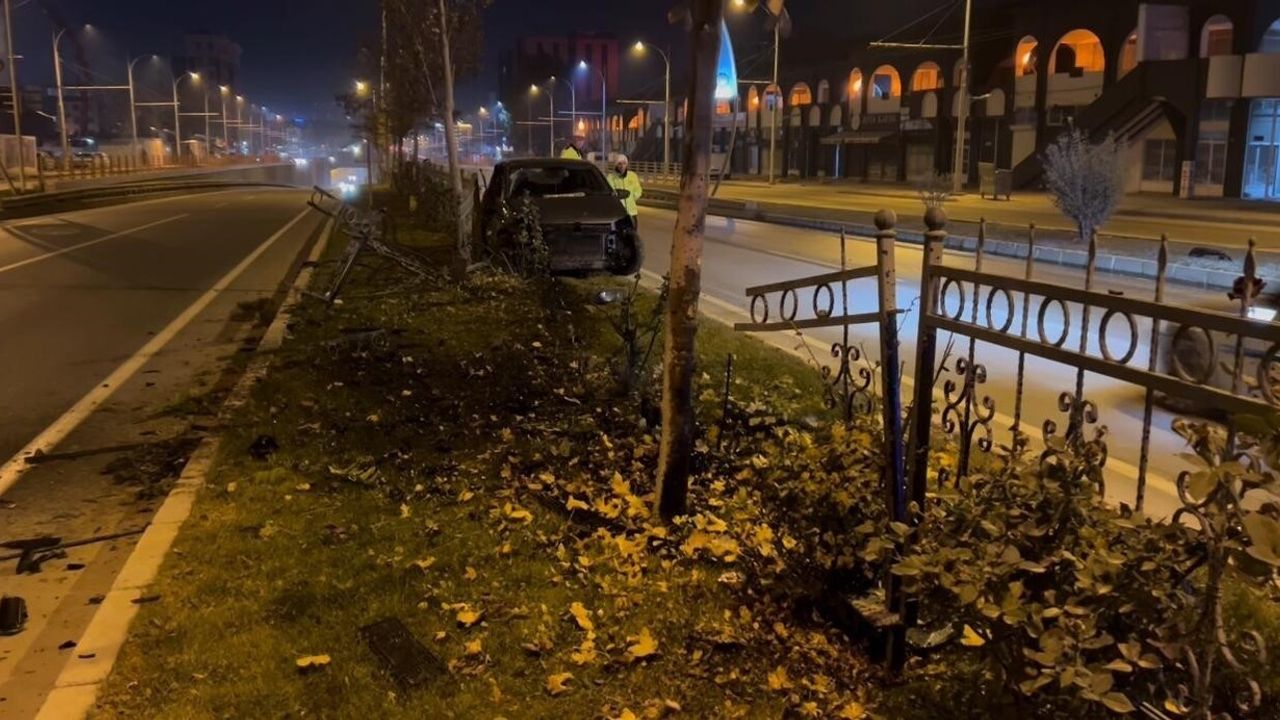 Köpeğe çarpmamak için manevra yapan sürücü refüje çıktı, yaralı