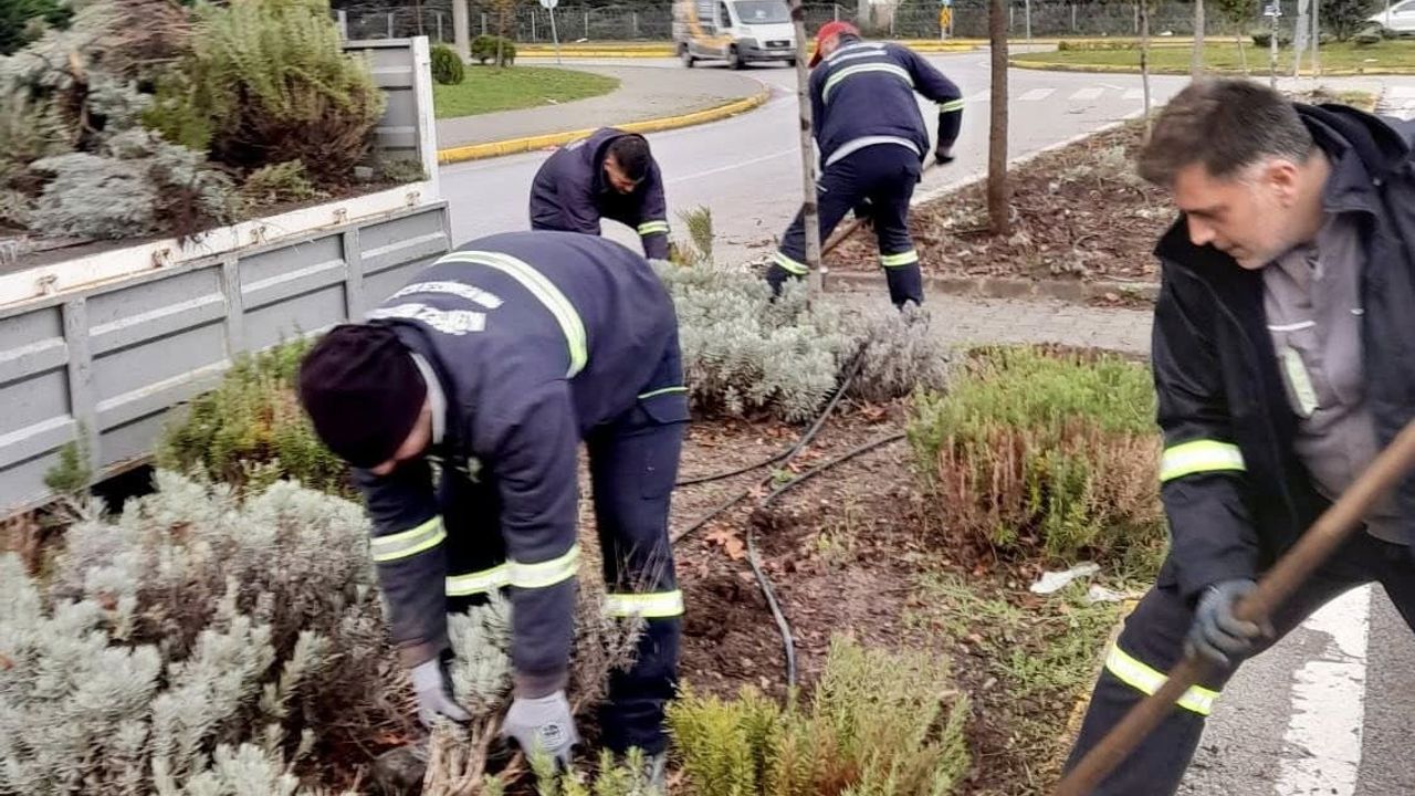 Körfez’de parklar mevsimsel çiçeklerle canlanıyor