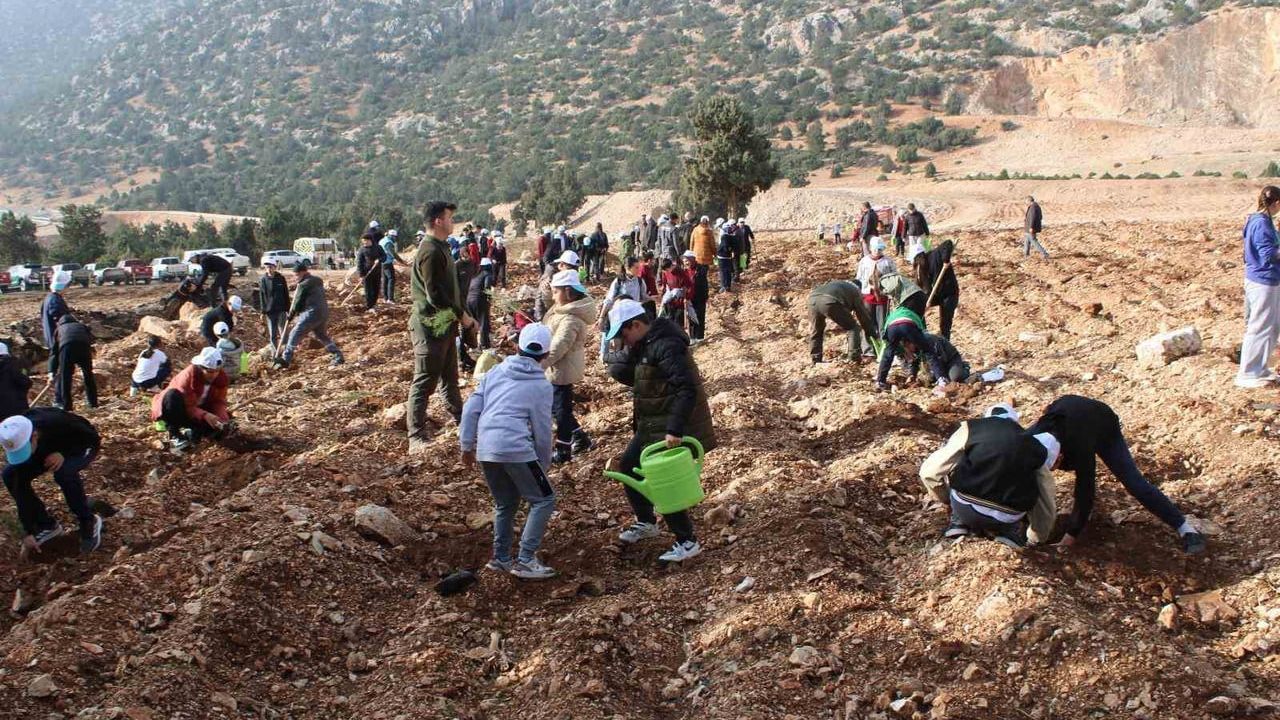 Korkuteli'nde 3 bin fidan ÇEDES projesiyle toprağa verildi