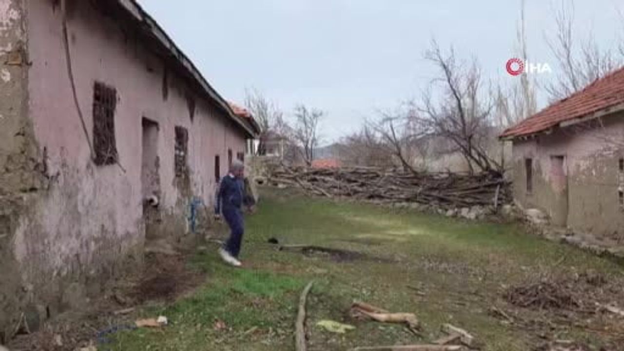 Koyunlarını Antrenör Gibi Yürüyüşe Çıkartan Emekli Erol Önal