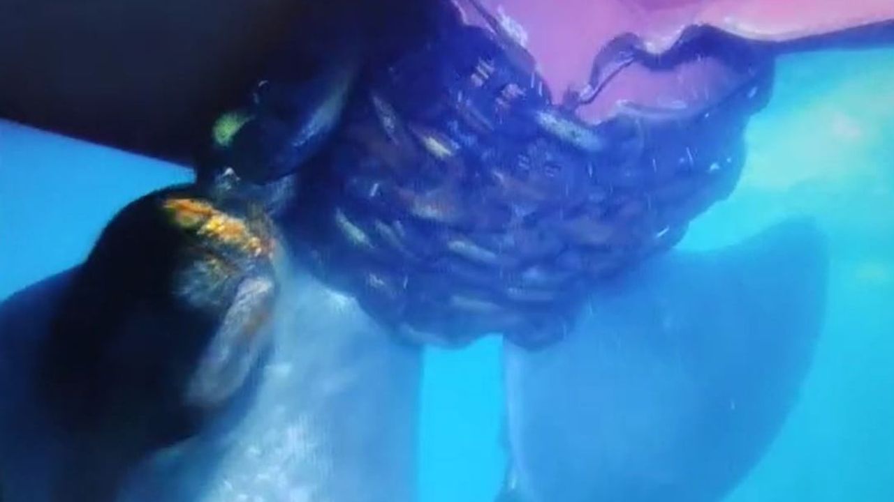 Küçükçekmece'de Alatepe Tankerinin Pervanesine Zincir Dolandı