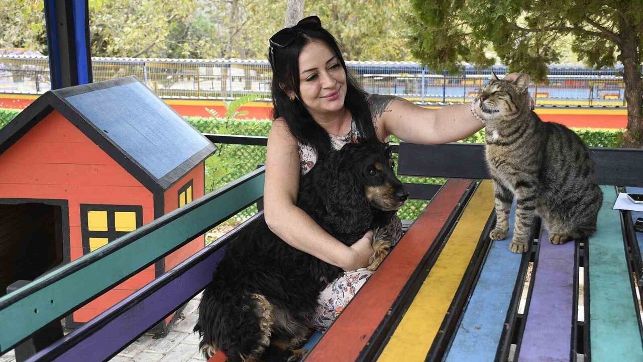 Kuşadası'nda evcil hayvanlara mikroçip zorunluluğu: son tarih 31 Aralık 2025