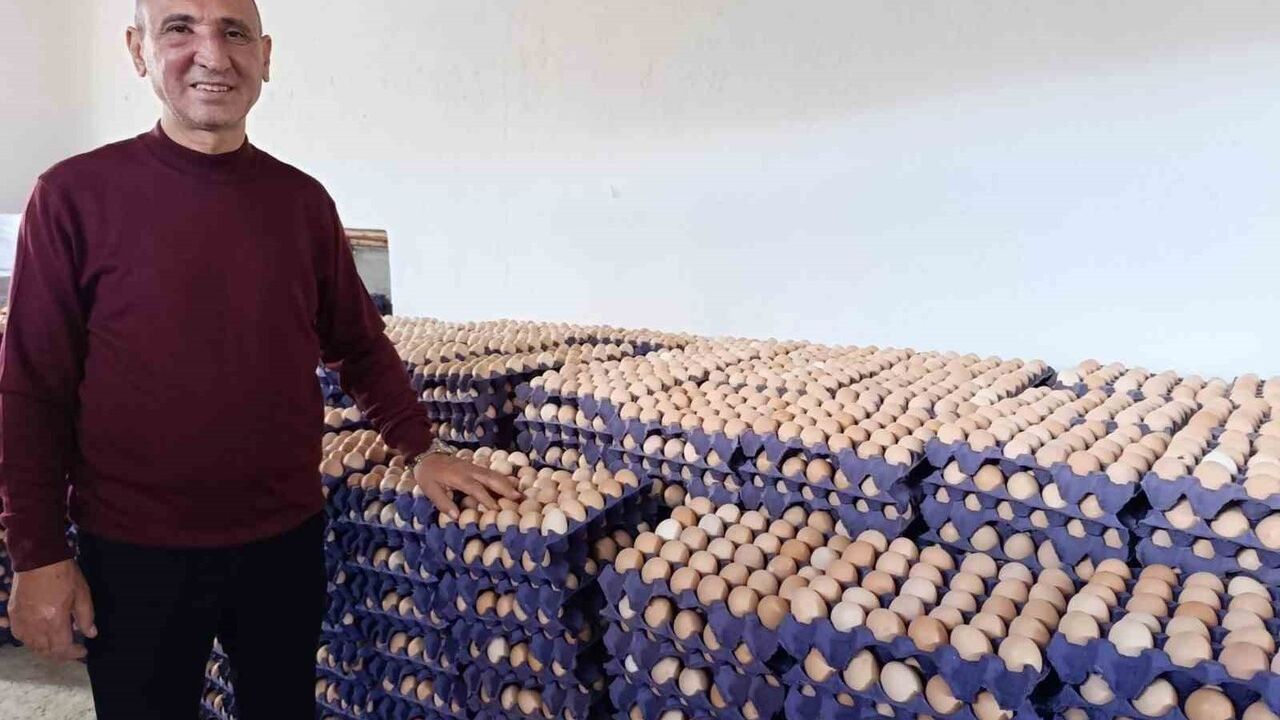 Kuşu'da günlük yaklaşık 15 bin yumurta üreten yeni tesis faaliyete geçti