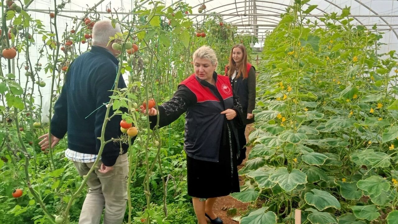 Lüleburgaz'da seracılık denetimi