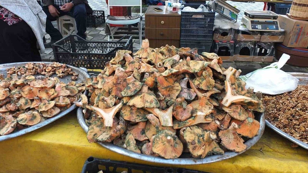 Madra Dağı’nda melki bereketi: Burhaniye’de mantar bolluğu ve fiyat hareketi