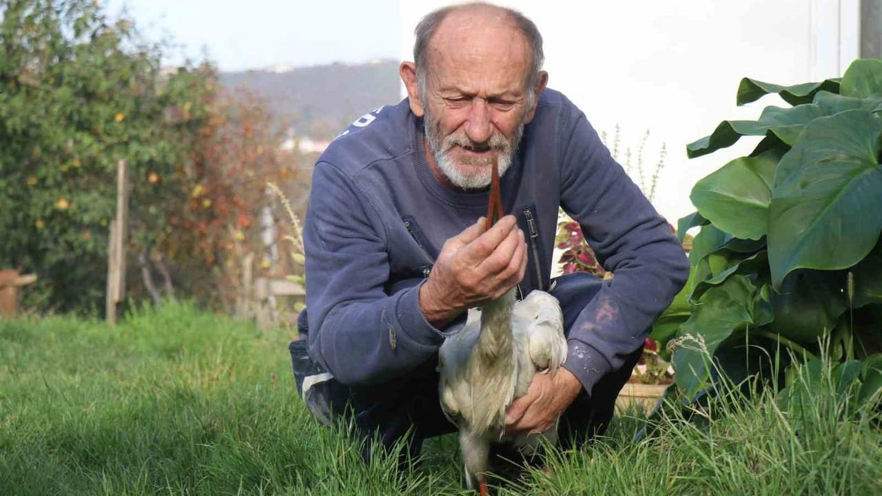 Mahallelinin Sahip Çıktığı Leylek Ateş, Bezirgan’ın Yeni Sakinlerinden Biri Oldu