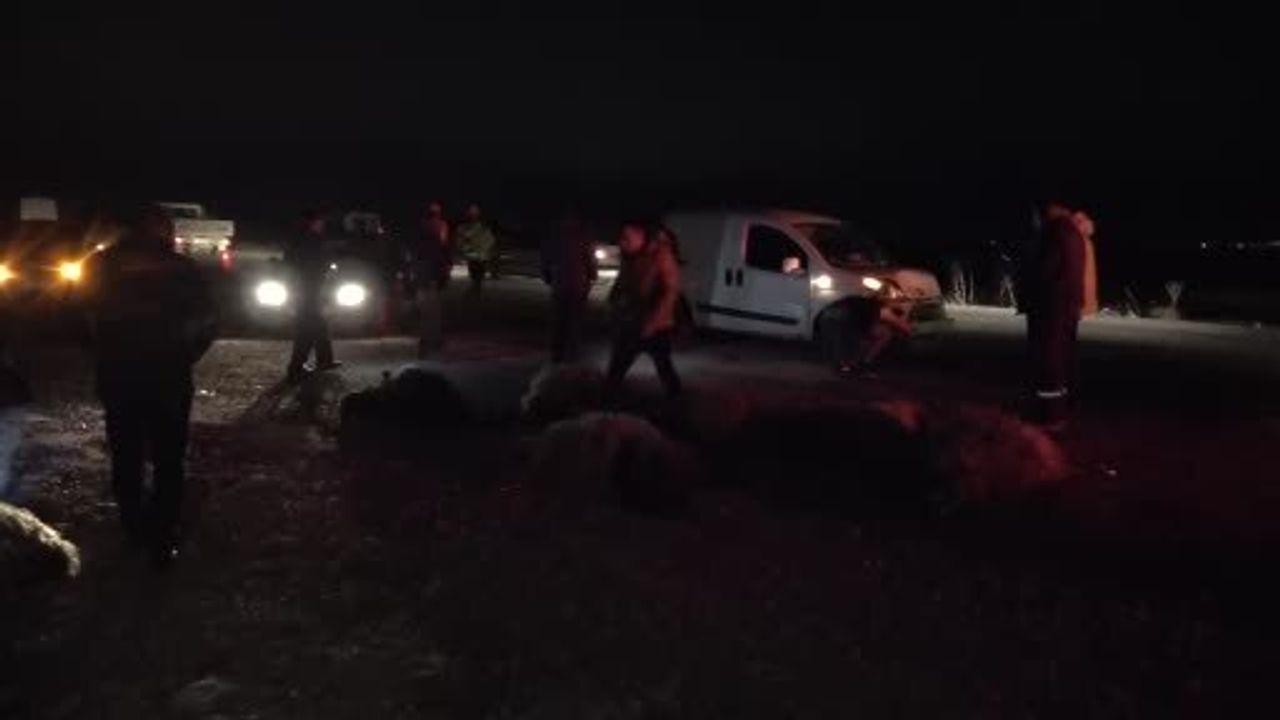 Malatya'da hafif ticari araç küçükbaş sürüsüne çarptı