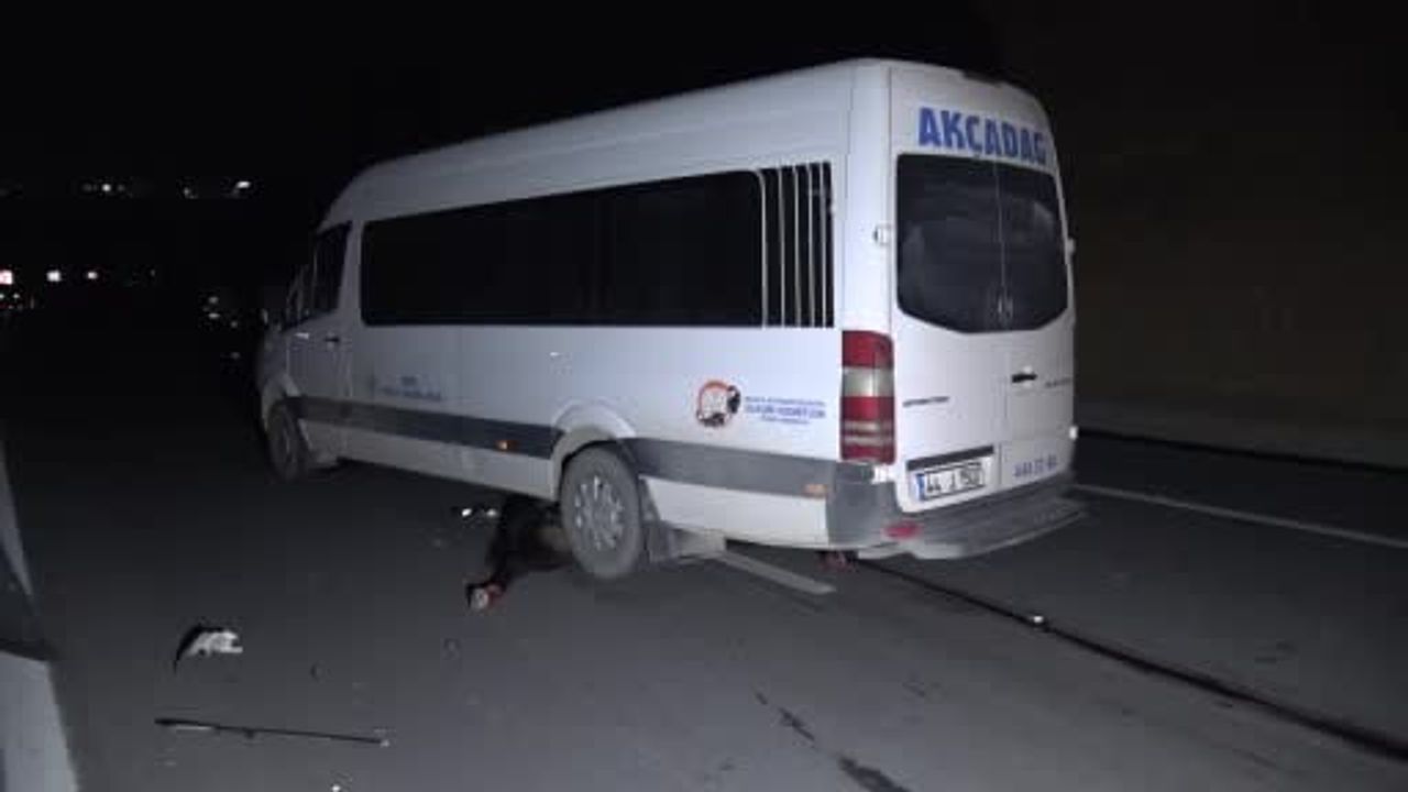 Malatya'da milyonluk taylar karayola çıktı — araçlarla çarpıştı, 1 yaralı