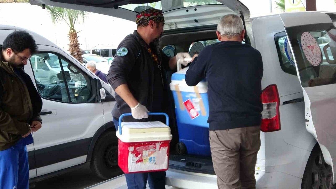 Manavgat'ta beyin ölümü sonrası karaciğer ve iki böbrek bağışı