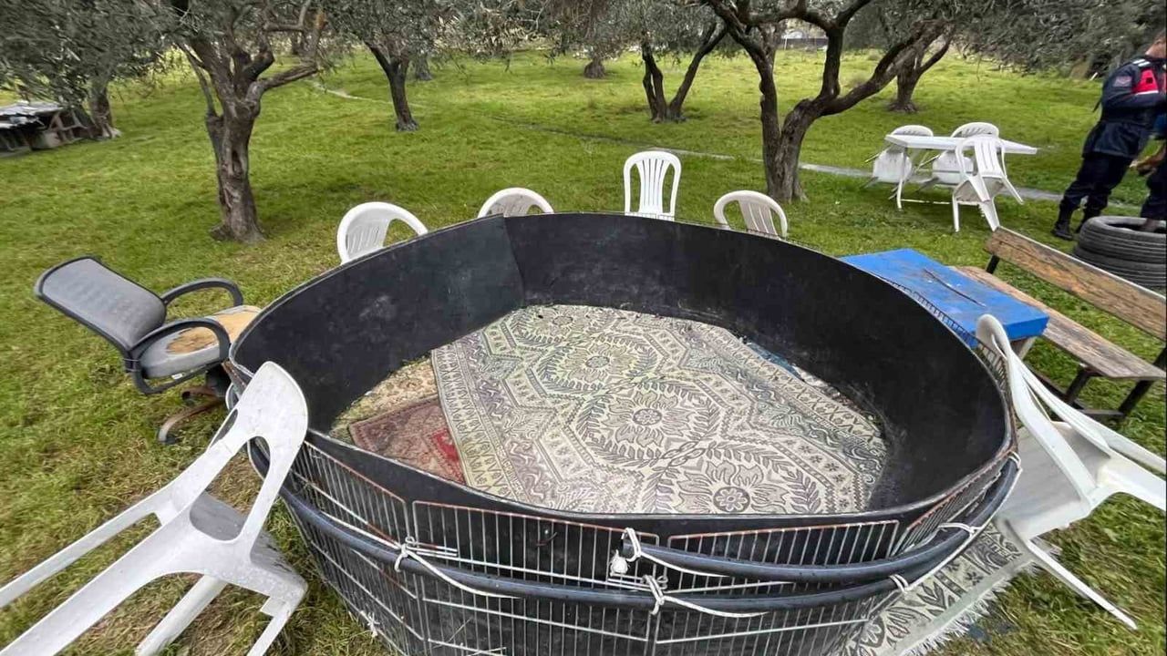 Manisa'da Jandarma Horoz Dövüşü Operasyonları