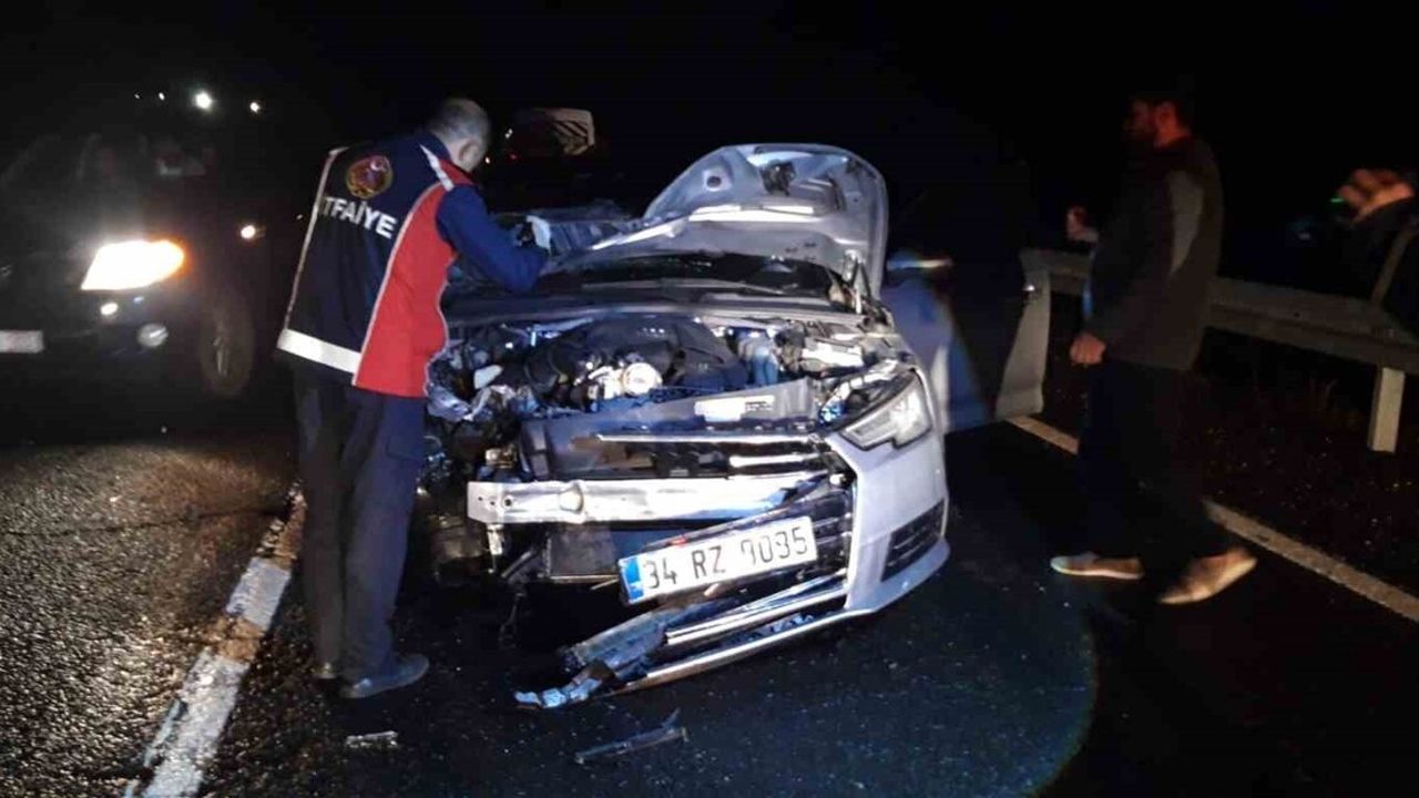 Mardin’de yoldaki ata çarpan otomobil, atın telef olmasına neden oldu