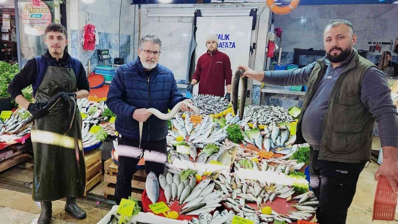 Meksika Körfezi’nden Bafa Gölü’ne: 7 bin kilometrelik yolculuğun kahramanı yılan balıkları