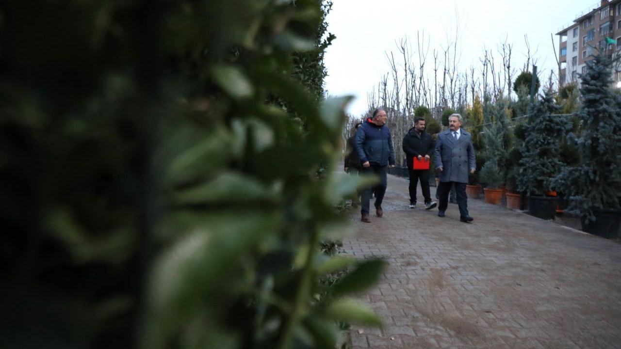 Melikgazi Belediyesi yeni ağaçlarla kenti yeşillendiriyor