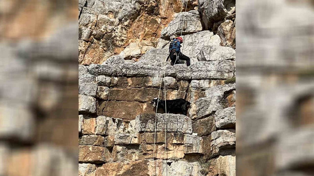 Mersin'de sarp kayalıklarda mahsur kalan keçi itfaiye tarafından kurtarıldı