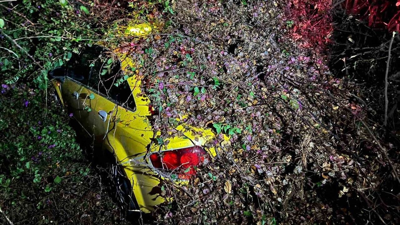 Mersin'de yol kenarındaki ağaç sürücünün bulunduğu otomobilin üzerine devrildi