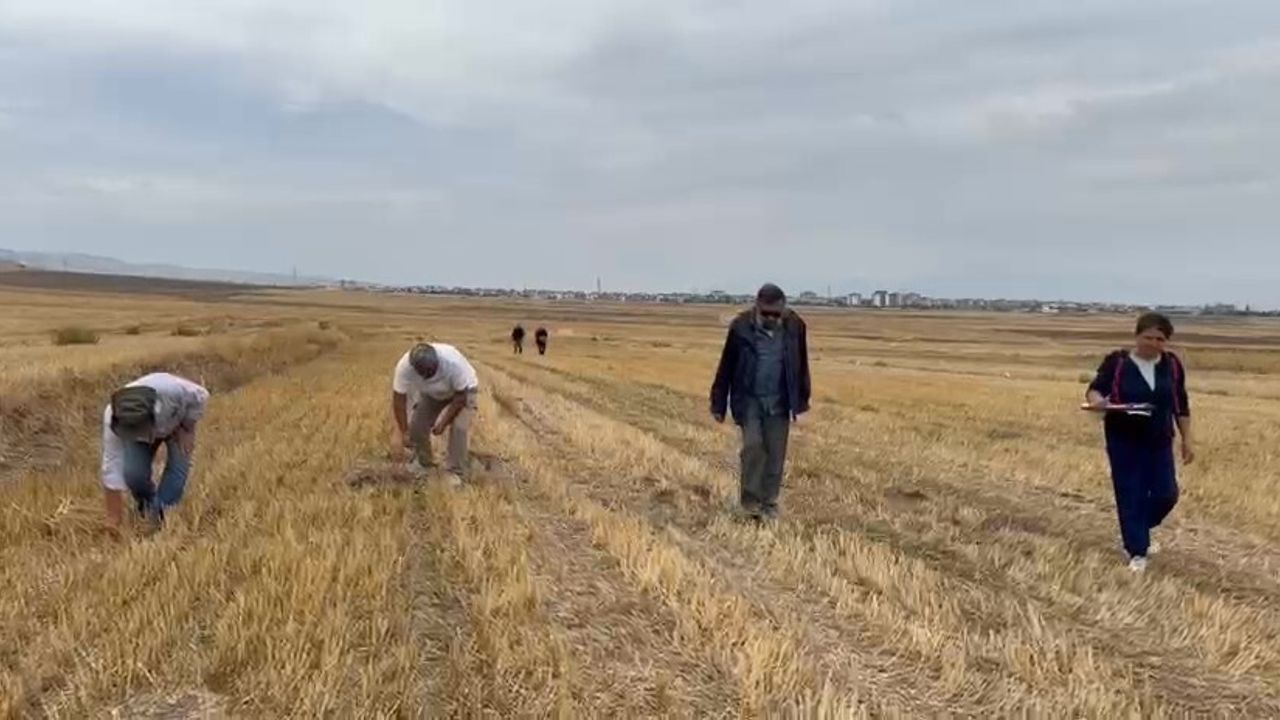 Merzifon Savaşı’nın sır perdesi aralandı: Haçlı güzergâhı ve bozguna uğrayan kale tespit edildi