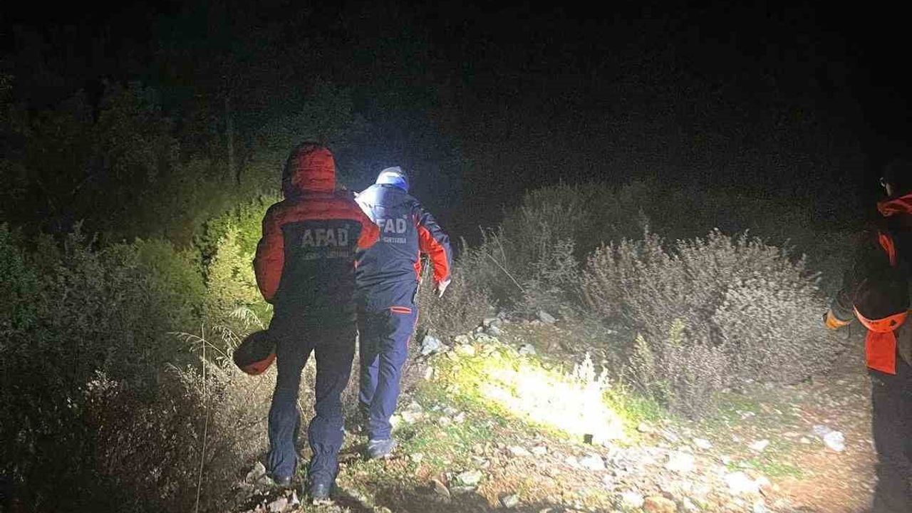 Milas'ta mantar ararken kaybolan 70 yaşındaki Nahit Bahar için arama sürüyor