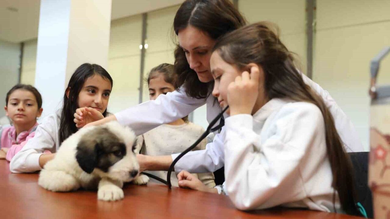Minik Veterinerler Bursa'da 'Bir Günlüğüne Veteriner Hekim Oluyorum' Etkinliğinde